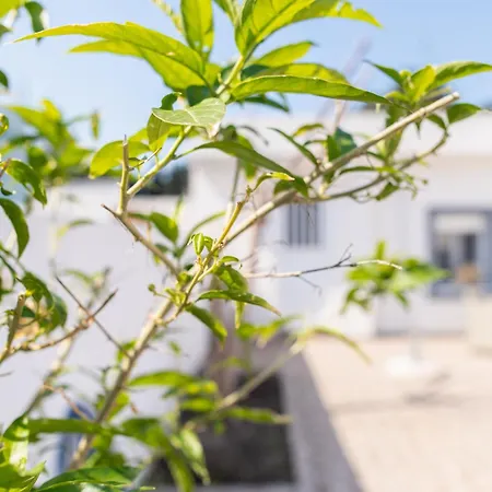 別荘 K&Ε guest house Ampavris