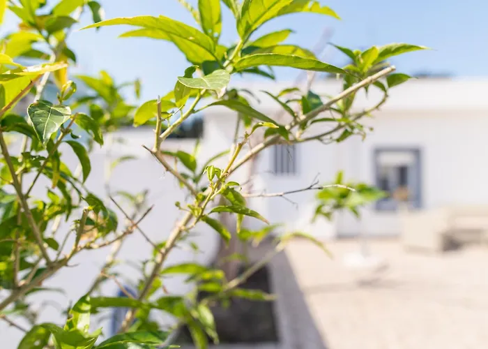 Hébergement de vacances K&Ε guest house Ampavris